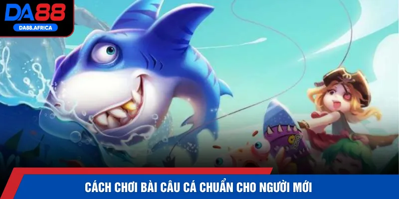 Cách chơi bài câu cá chuẩn cho người mới