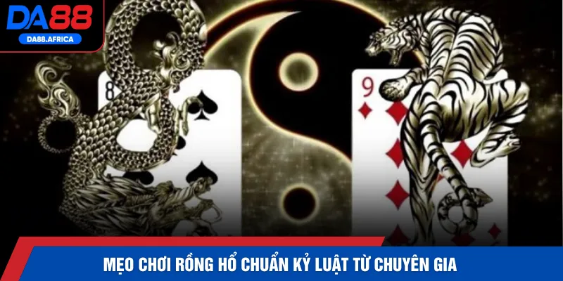 Mẹo chơi Rồng Hổ chuẩn kỷ luật từ chuyên gia