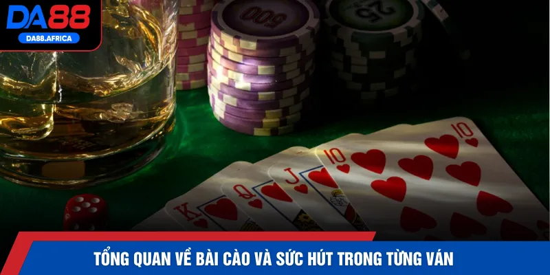 Tổng quan về bài cào và sức hút trong từng ván